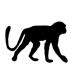 250x250 Monkey Silhouette Silhouettes Monkey, Silhouette