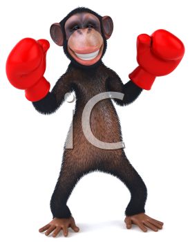 275x350 Picture Of A Chimpanzee Wearing Red Boxing Gloves In A Vector Clip