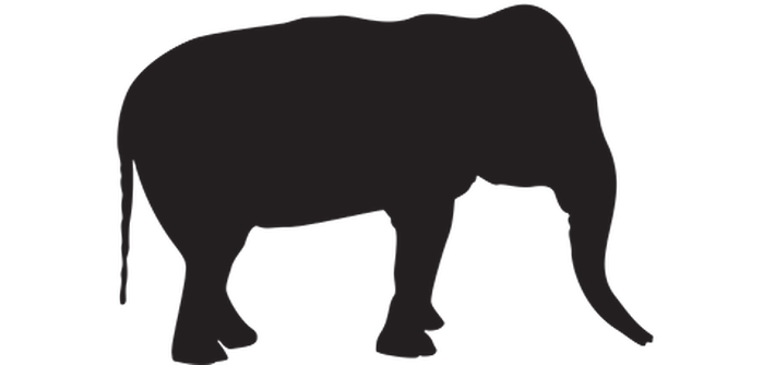 710x334 Animal Silhouettes Clipart The Arts Media Gallery Pbs