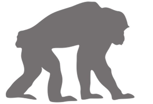 589x399 Inspired Journeys Authentic African Experiences