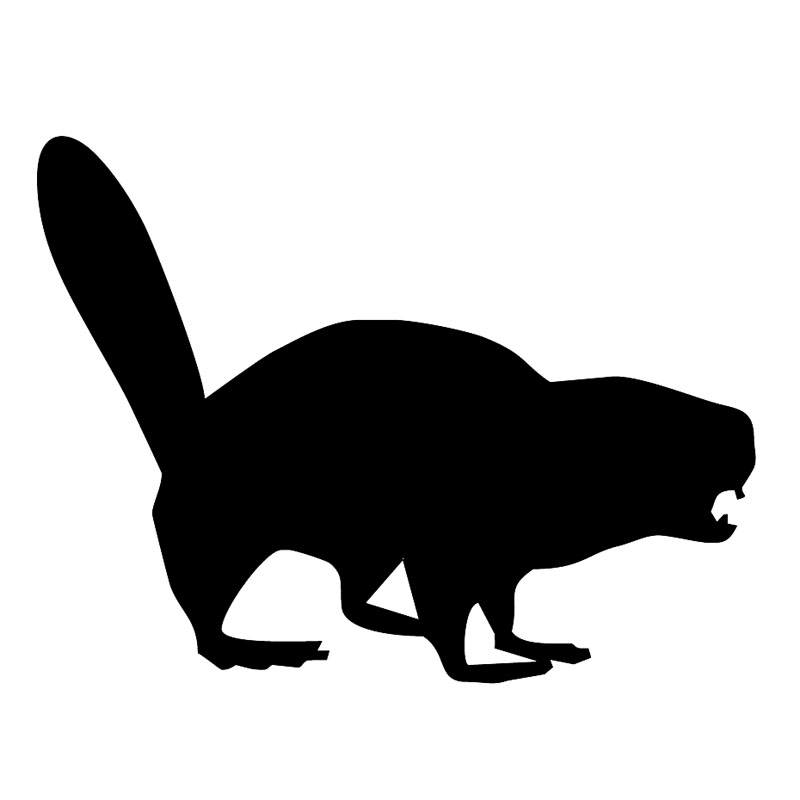 800x800 Beaver Clipart Silhouette