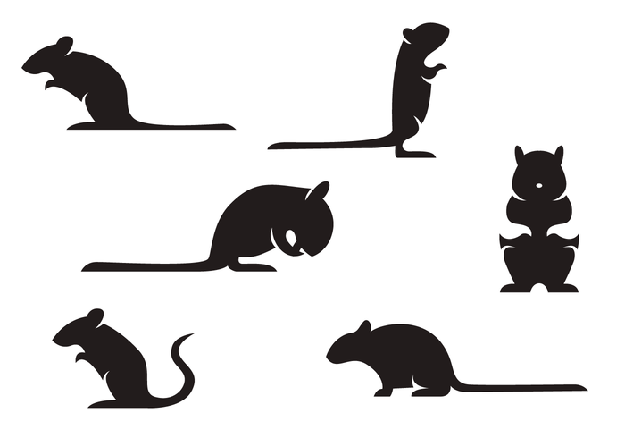 700x490 Gerbil Silhouette Vector