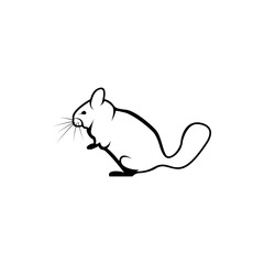 240x240 Search Photos Chinchilla