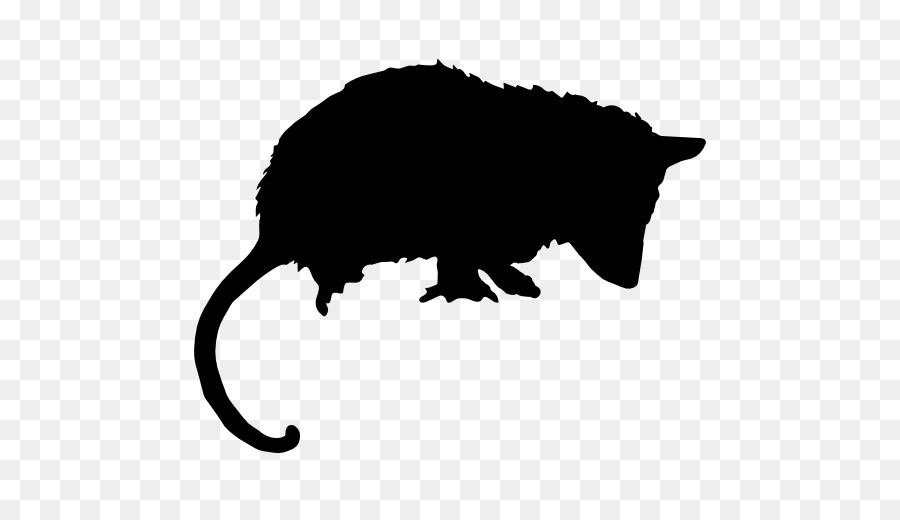 900x520 Chinchilla Opossum Mammal Encapsulated Postscript