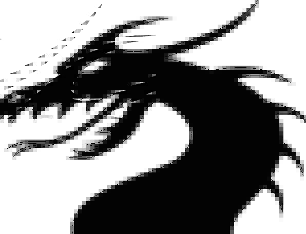 596x456 Dragon, Huge, Silhouette, Outline, Monster, Chinese Dragon