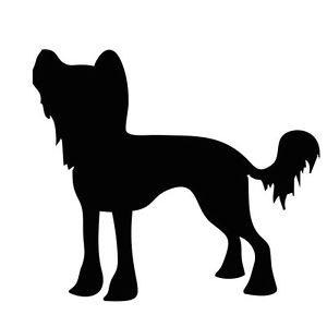 300x300 New Chinese Crested Silhouette Sticker Toy Dog Breed Stickers Car