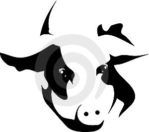 300x266 Tribal Chinese Pig Tattoo Photographer Karl12 Agency