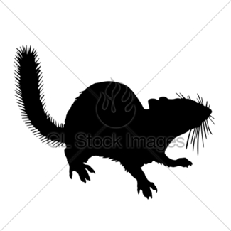 325x325 Chipmunk Silhouette Animal Clip Art Gl Stock Images