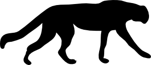 300x129 Contour Chipmunk Clip Art