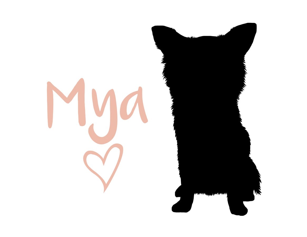 1164x900 Mod Pet Art Prints Pet Lover Gifts Jane