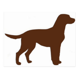 307x307 Labrador Silhouette Postcards Zazzle