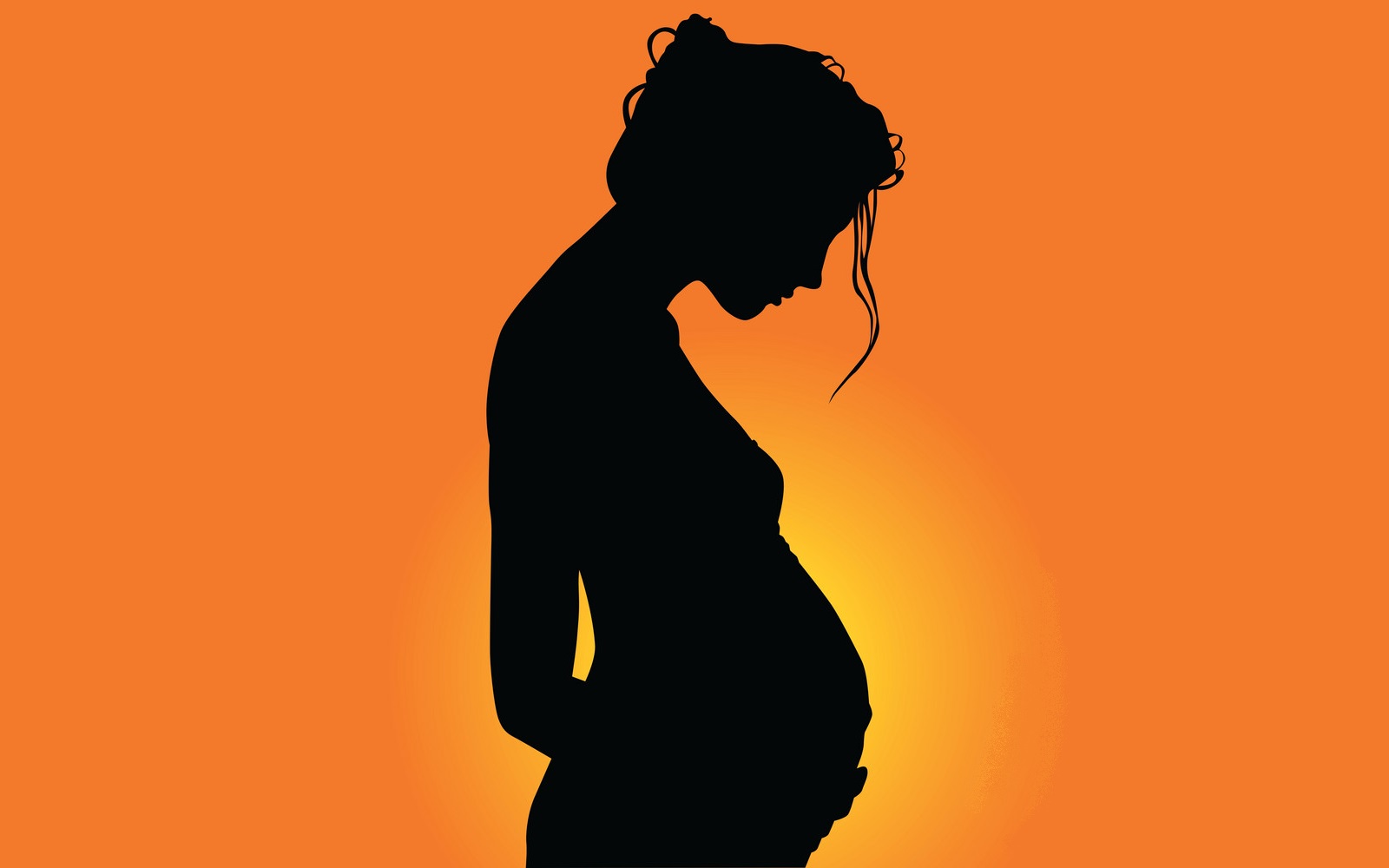 1600x1000 Another Piece Of The Puzzle