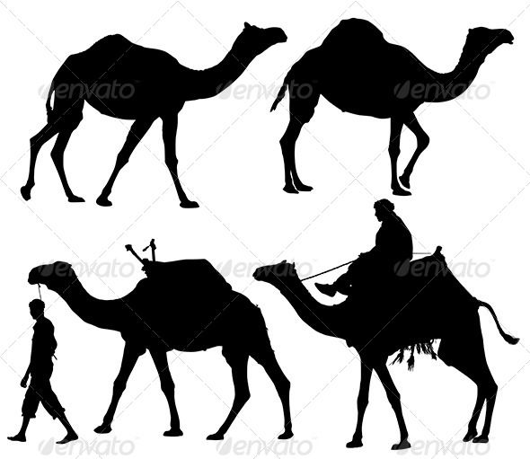 590x511 Graphicriver Camel Silhouette 5372098 Christmas