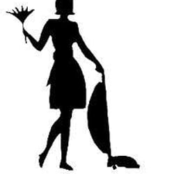 250x250 The Cleaning Lady