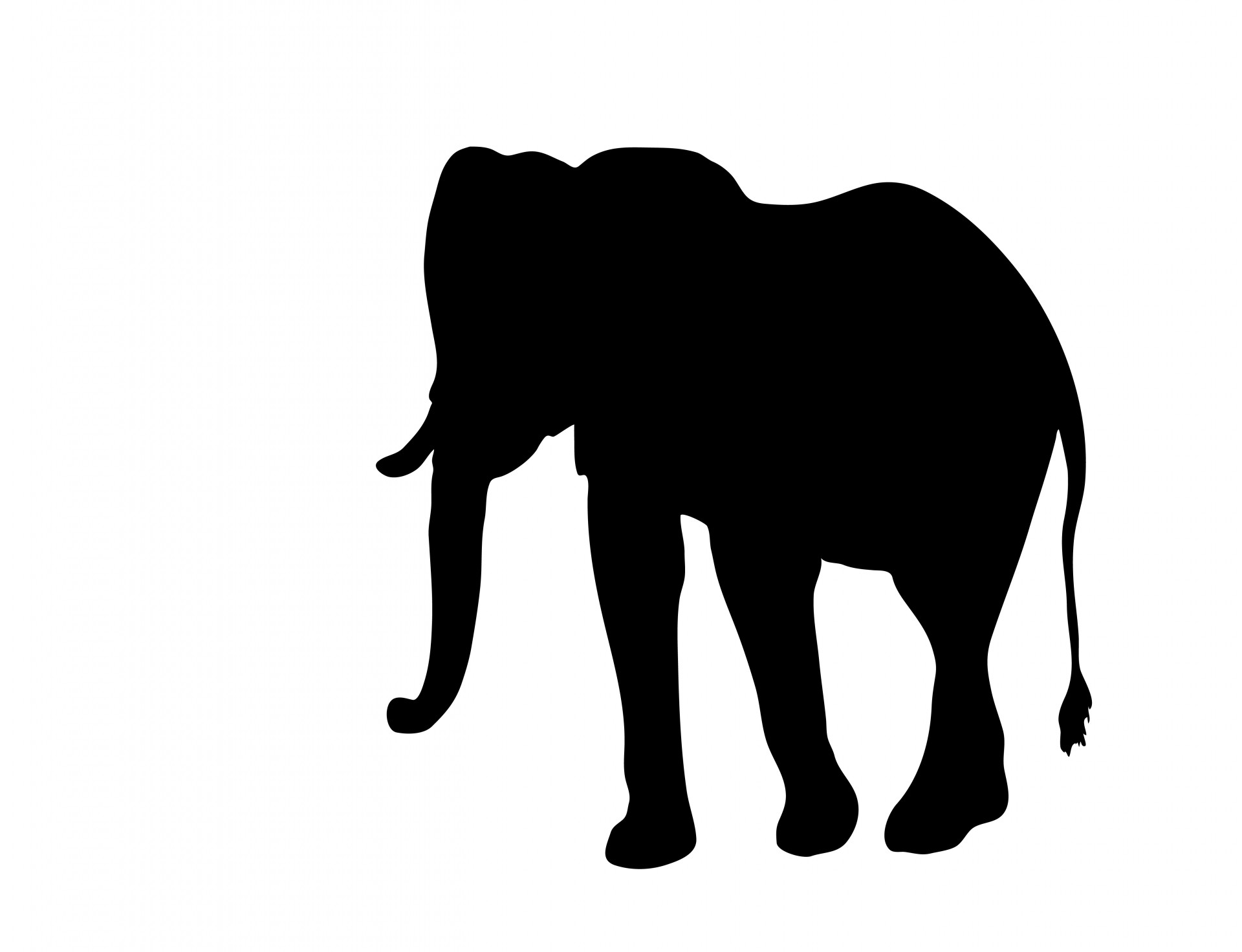1920x1472 Shadow Clipart Elephant