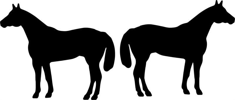 800x340 Quarter Horse Head Clip Art