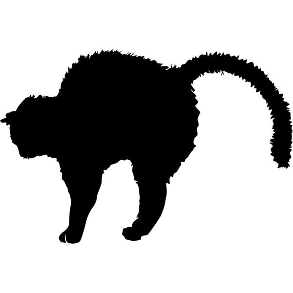 600x600 Cat Silhouette Liked On Polyvore Featuring Animals