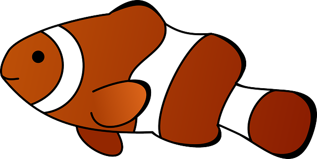 640x321 Free Pictures Nemo