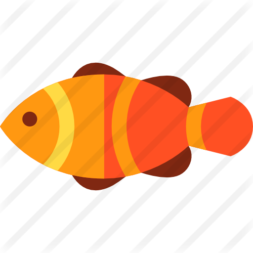512x512 Clown Fish