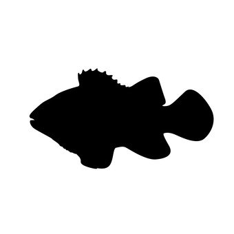 340x340 Free Silhouette Vector An Illustration