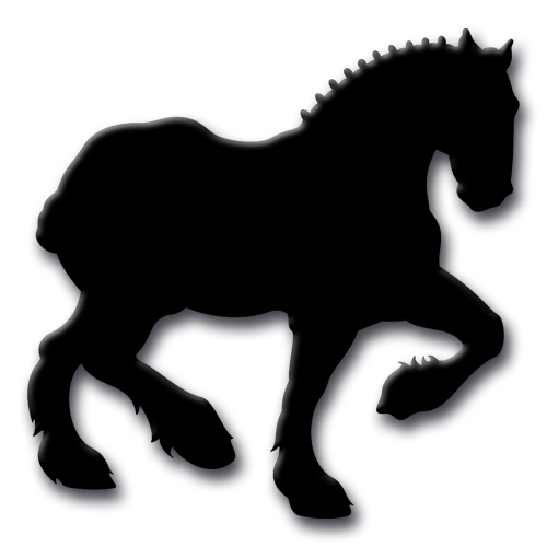 500x500 Horse Fair Banners