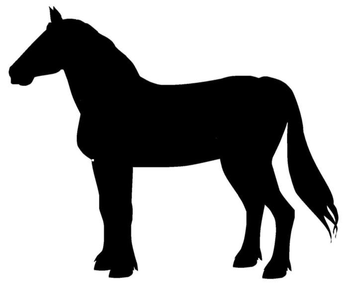 Clydesdale Horse Silhouette at GetDrawings | Free download