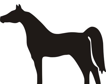 340x270 Arabian Horse Decal Etsy