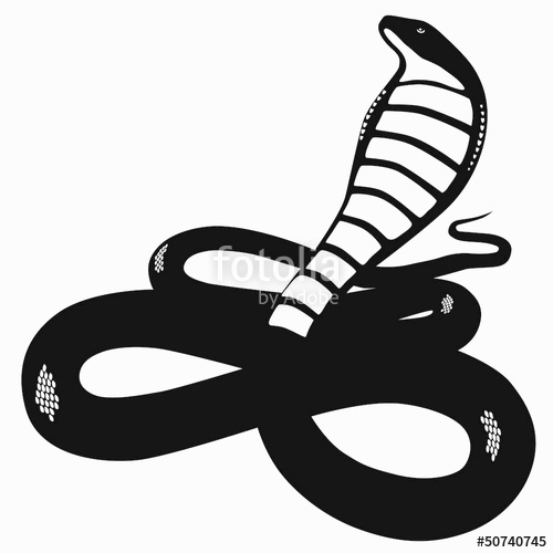 500x500 Cobra Silhouette Stock Image And Royalty Free Vector Files