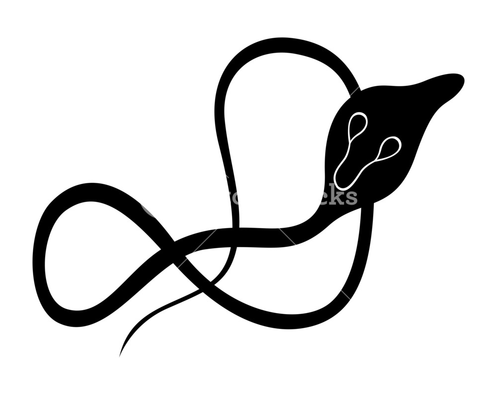 1000x795 King Cobra Snake Silhouette Royalty Free Stock Image