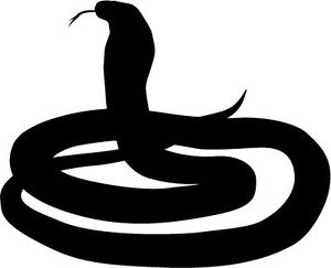 300x243 Snake Cobra Silhouette Sticker Car Bumper Sticker