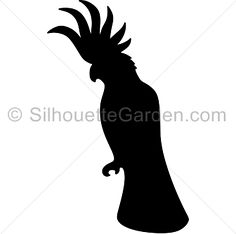 Cockatoo Silhouette