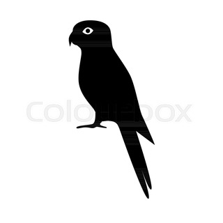 320x320 Cockatoo Parrot Silhouette Icon In Flat Style. Australian Tropical