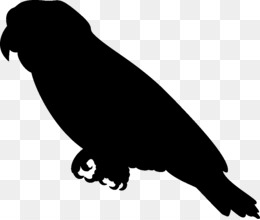 260x220 Free Download Bird Cockatiel Cockatoo Silhouette Clip Art