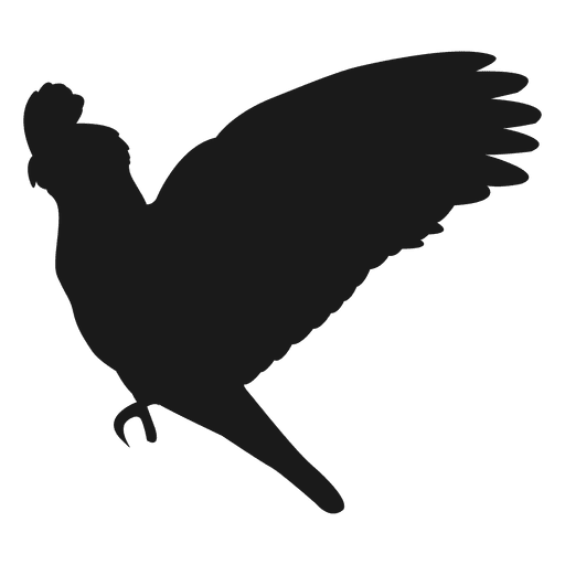 512x512 Parrot Silhouette