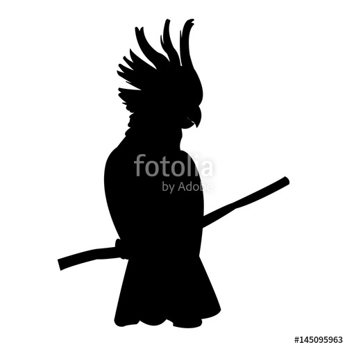 500x500 Cockatoo Tropical Bird Icon Image Vector Illustration Design Black