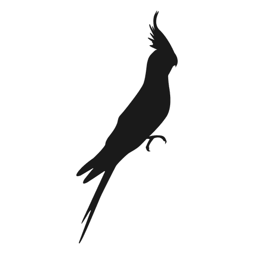 512x512 Cockatiel Silhouette