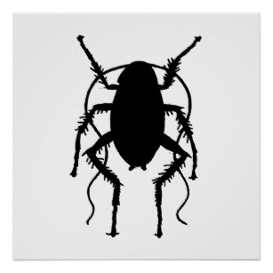 307x307 Cockroaches Posters Zazzle