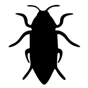300x300 Cockroaches Decal Etsy