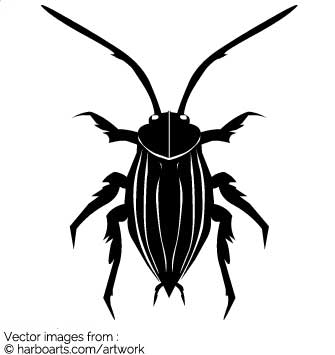335x355 Download Cockroach