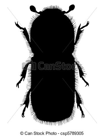 360x470 Bark Beetle Silhouette Stock Illustrations