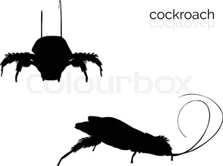 320x238 Illustration Of A Cockroach Silhouette On White Background Stock