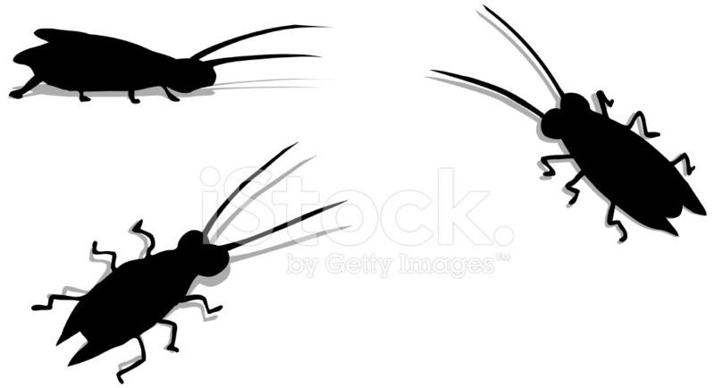 799x434 Black Cockroaches (Vector) Stock Vector