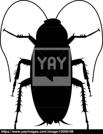 393x512 Cockroach Silhouette Image