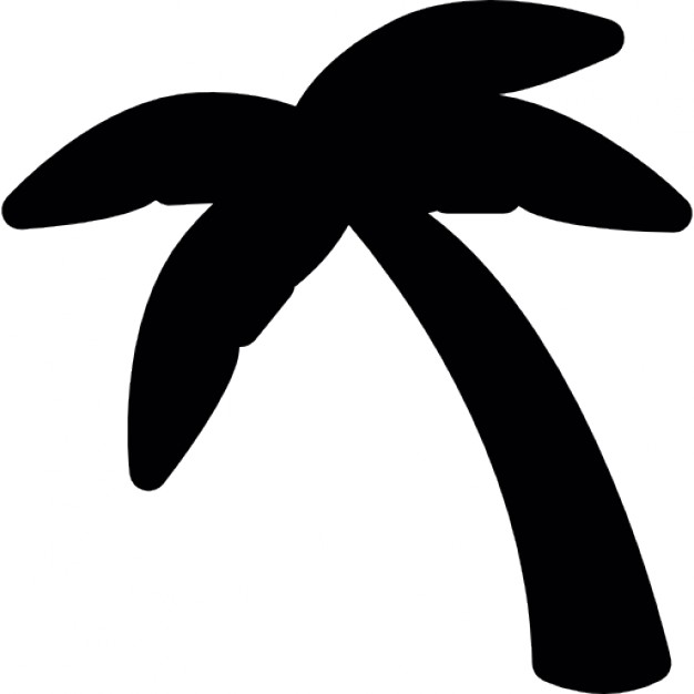 626x626 Coconut Tree Standing Silhouette Icons Free Download