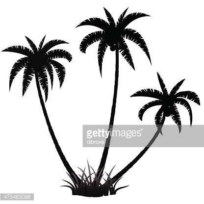 416x416 Palm Trees Silhouette Stock Vectors
