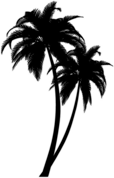 390x609 Black Palm Tree Drawing
