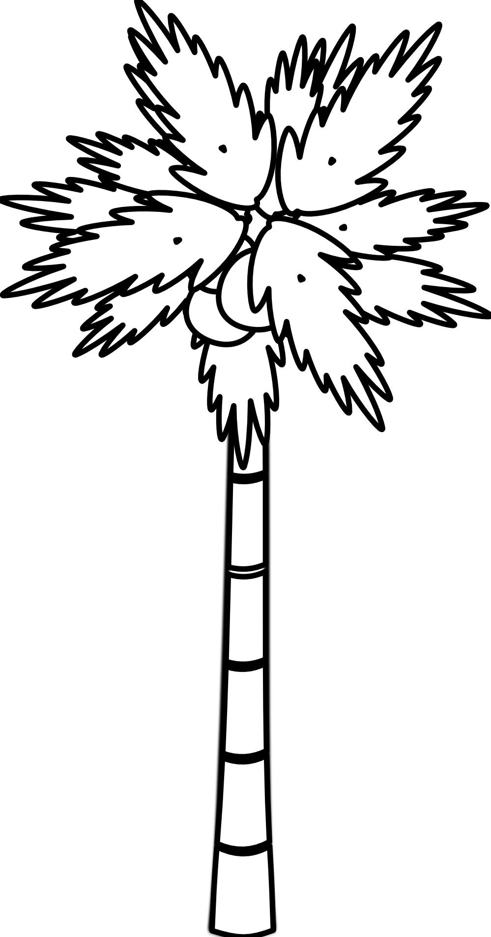 999x1906 Black Clipart Coconut Tree