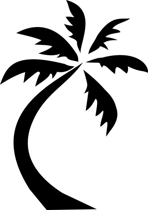 506x720 Two Palms On Island. Black Coconut Tree Silhouette, Isolated