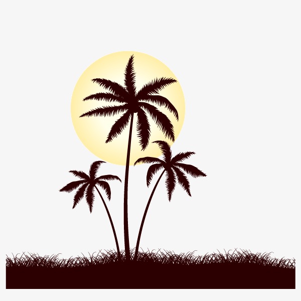 600x600 Coconut Tree Silhouette Background Decoration, Sunlight, Sunset