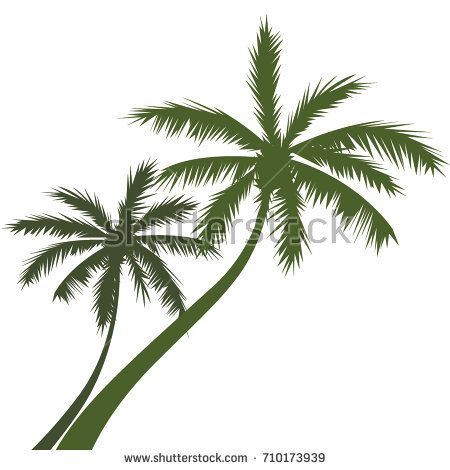 450x470 Vector Silhouettes Of Palm Trees Pallms Black